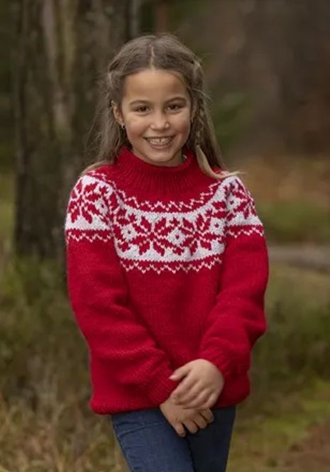 Hovedbilde Katalog 2302-3 Libra genser 2 - 12 år